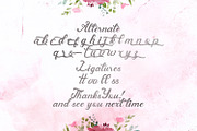 Andy Tusvah - Bold Script Font, a Script Font by StringLabs (Thumbnail 14 of 14)