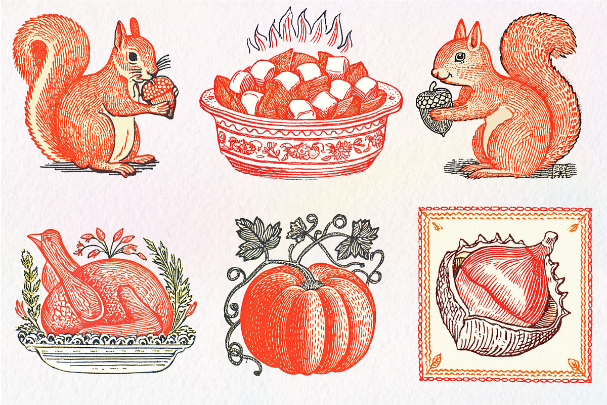 Hand Drawn Thanksgiving Clipart PNG, an Illustration by Dream Creation (Photo 3 of 7)
