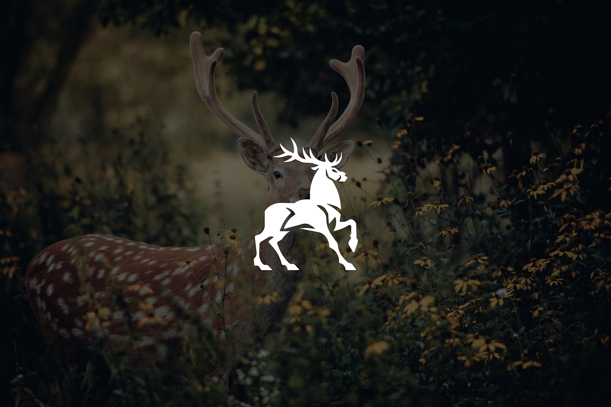 Minimalist Modern Deer Logo, a Branding & Logo Template by Luxury Logos (Photo 2 of 4)