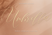 Umbrella Script, a Script Font by Quothron (Thumbnail 8 of 8)