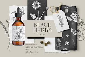 Black Herbs. Vector Set