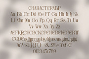 Reichi || Modern Classy Serif Font, a Serif Font by Ermedia Studio (Thumbnail 10 of 10)