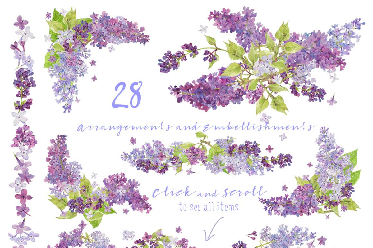 Lovely Lilacs-Design Pack!, an Illustration by watercolorwild.graphics (Photo 6 of 7)