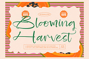 Blooming Harvest Modern Handwritten, a Script Font by stylishtype.co (Thumbnail 1 of 15)