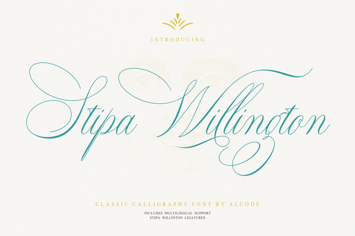 Stipa Willington by Alcode | Creative Market