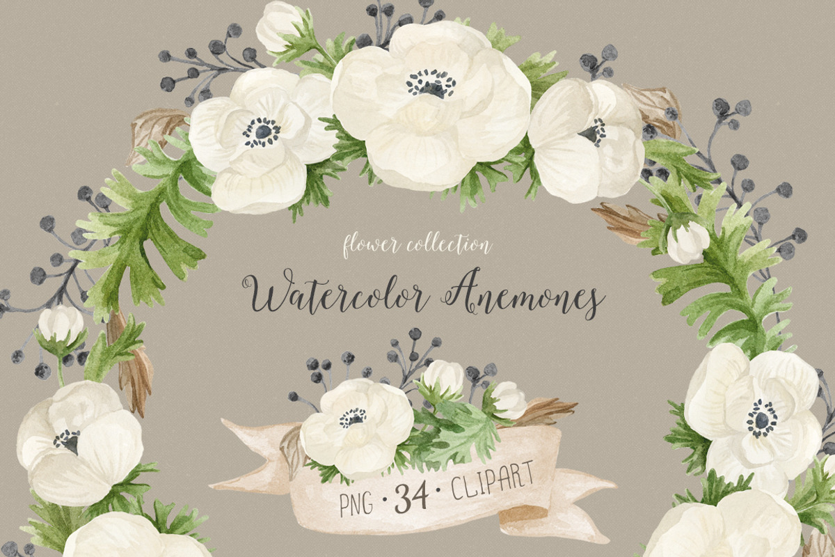 Watercolor anemones. Floral set, an Illustration by NataliVA (Photo 1 of 4)