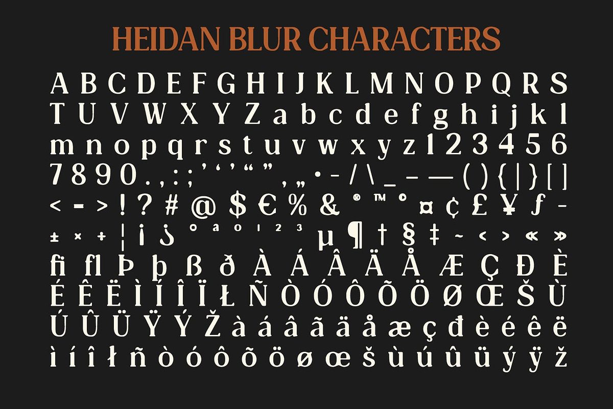 Heidan Blur, a Serif Font by Craft Supply Co. (Photo 8 of 8)