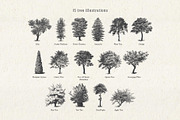 Vintage Tree Vector Bundle Vol. 3, an Object Illustration by Seaquint (Thumbnail 2 of 5)
