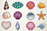 Watercolor Summer Seashell Clipart, an Illustration by RobertsArt (Thumbnail 2 of 4)