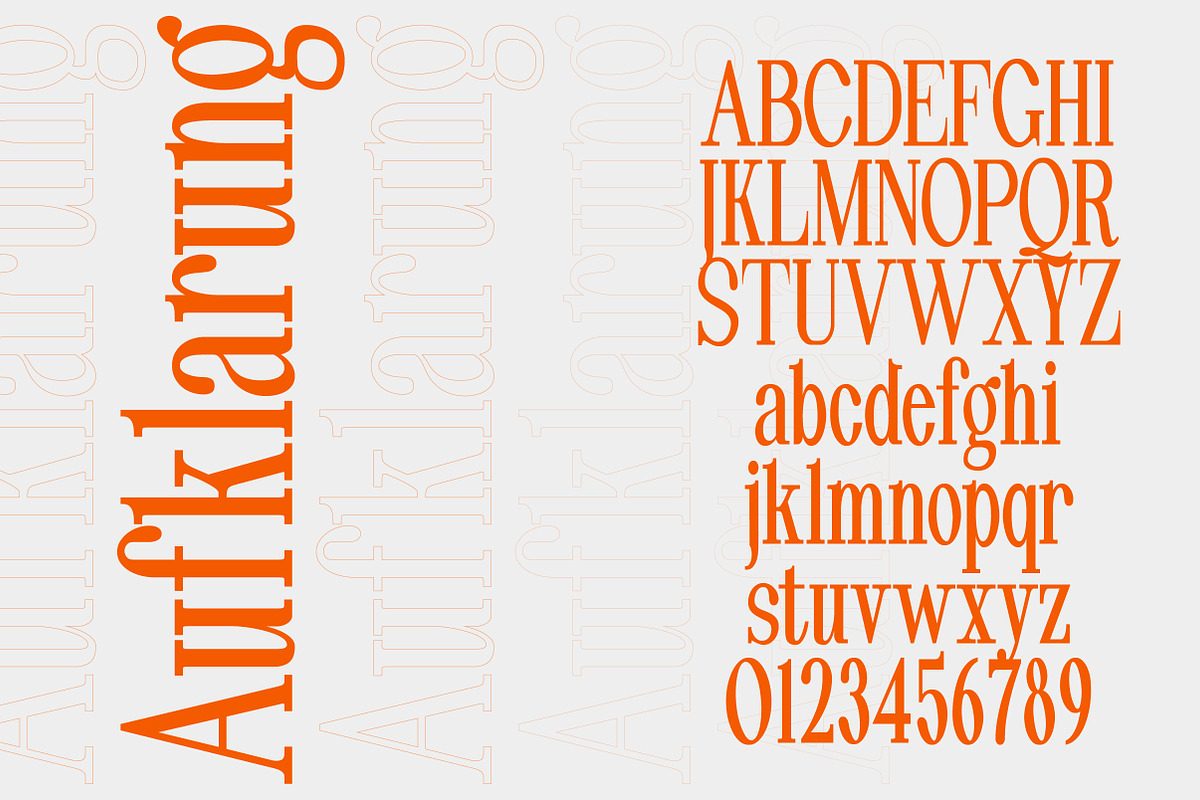 Pheromone | Modern Classic Serif, a Serif Font by Lettertype Studio (Photo 7 of 20)