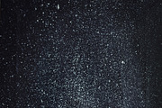 Winter forest and night, an Illustration by Graphics, Presets, Photos (Thumbnail 2 of 2)
