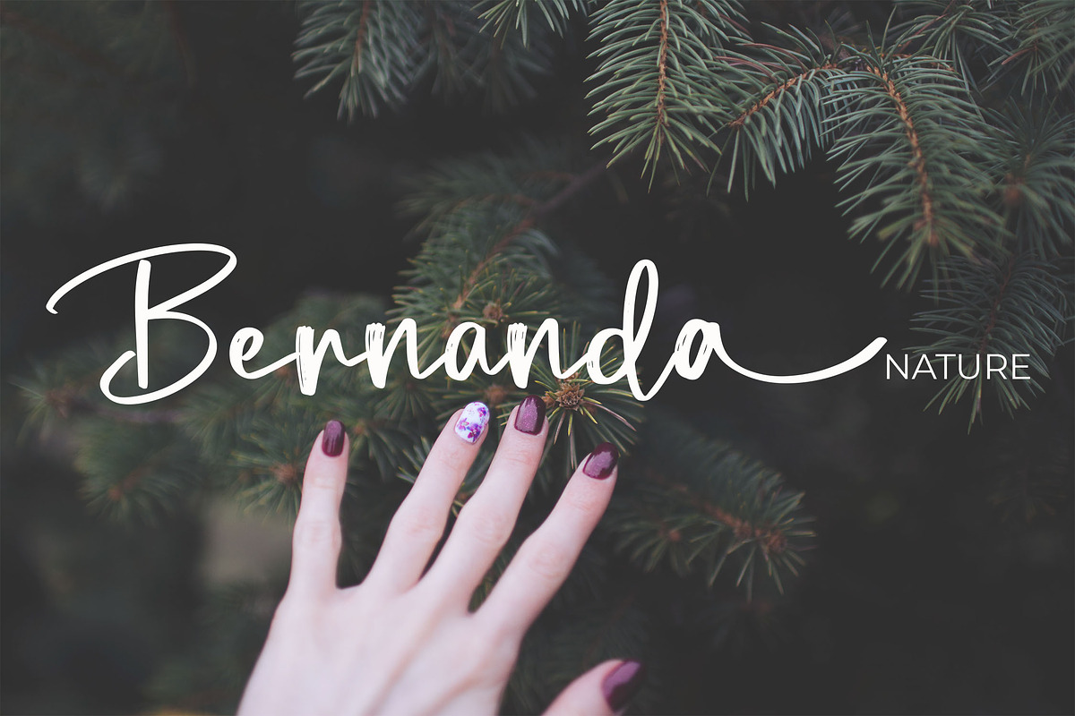 Mallyola Brush Script Font, a Script Font by NTC Graphic (Photo 3 of 8)