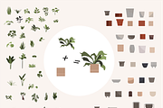 Flower collection, home plants, a Decorative Illustration by Yana_mide (Thumbnail 5 of 10)