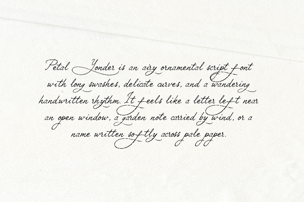 Petal Yonder: Airy Script Font, a Script Font by Mneme (Photo 3 of 9)