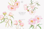 watercolor coquette pink peony set, a Decorative Illustration by Patishop Art (Thumbnail 3 of 10)