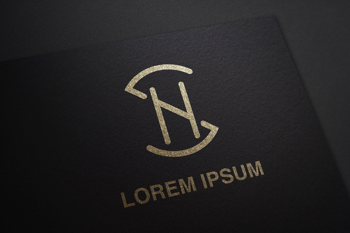 SN, NS Abstract Logo Design., a Branding & Logo Template by art_creater (Photo 2 of 2)