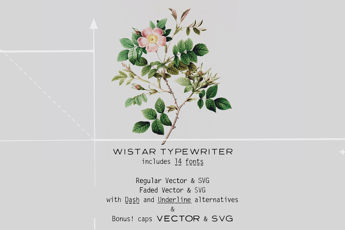 Wistar Typewriter SVG Font Family, a Sans Serif Font by Ana's Fonts (Photo 8 of 11)
