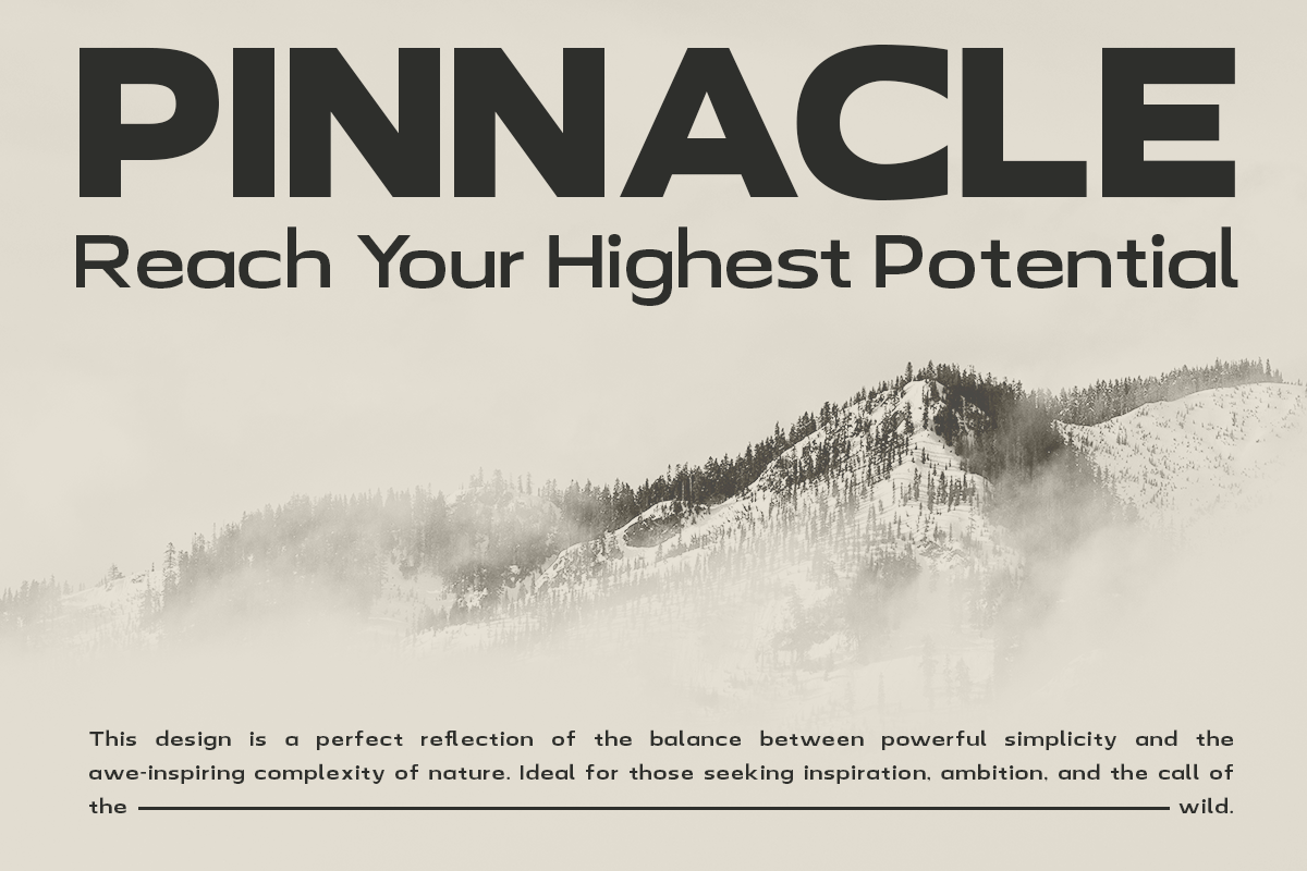 Neo Chic - Clean Modern Sans Serif, a Sans Serif Font by roomspace creative lab (Photo 5 of 11)