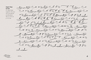 Glamour Bouquet, a Handwritten Font by Aluyeah Studio (Thumbnail 12 of 12)