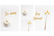 White October - Styled Stock Photo, a Background Photo by SunnyTangerine Stock (Thumbnail 3 of 3)