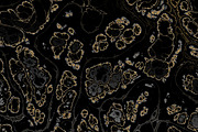 25 textures 64 megapixels, a Texture Graphic by tkdesign (Thumbnail 10 of 26)