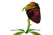 3DFoin - Elongata, a Characters & Person 3D Model by 3DRT.com (Thumbnail 9 of 17)