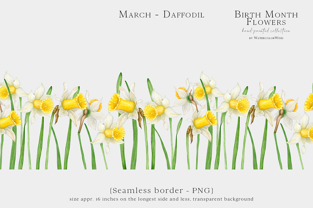 Daffodil Birth Month Flower Clipart, an Illustration by Ksenia Shmakova (Photo 5 of 7)
