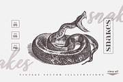 Vintage Bundle 2500+ Free Update, an Animal Illustration by Retro Machine (Thumbnail 3 of 170)