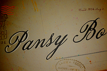 Pansy Bo