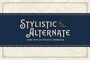 Caniste Font Family, a Serif Font by Ilham Herry (Thumbnail 7 of 10)