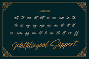Mugen Ragi - Modern Script Font, a Script Font by StringLabs (Thumbnail 11 of 11)