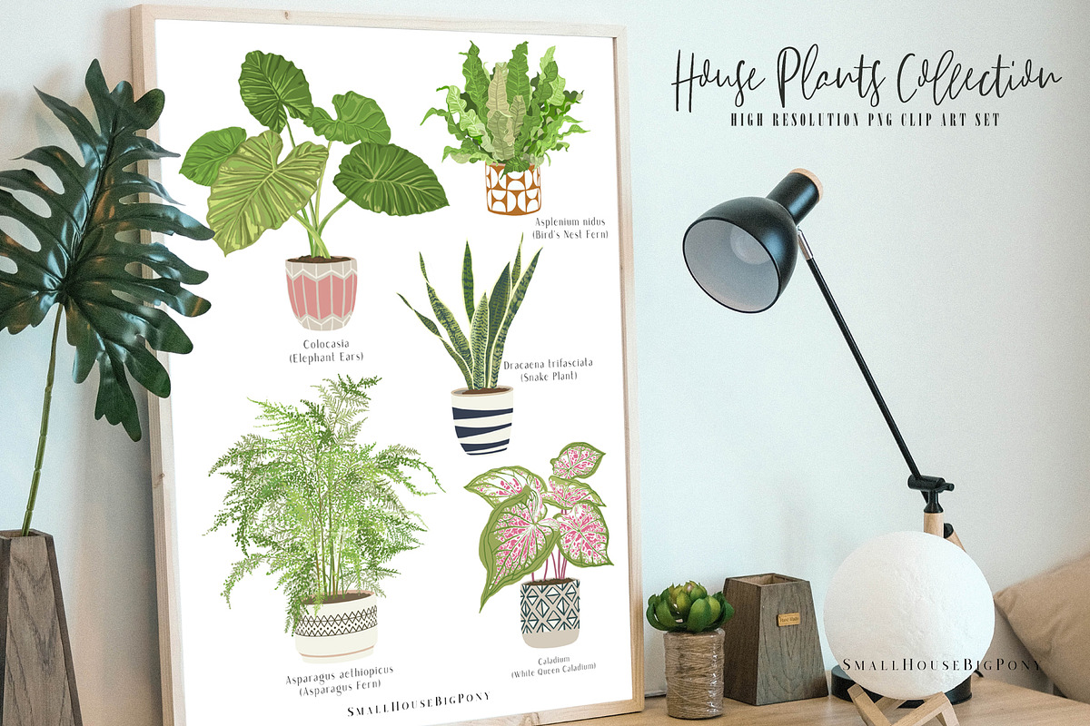 House Plants Collection Set II, a Graphic by SmallHouseBigPony (Photo 18 of 21)