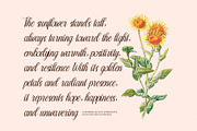 Andyra Script Font, a Script Font by Elegant Font (Thumbnail 2 of 8)