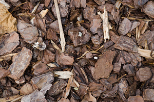 Mulch Texture