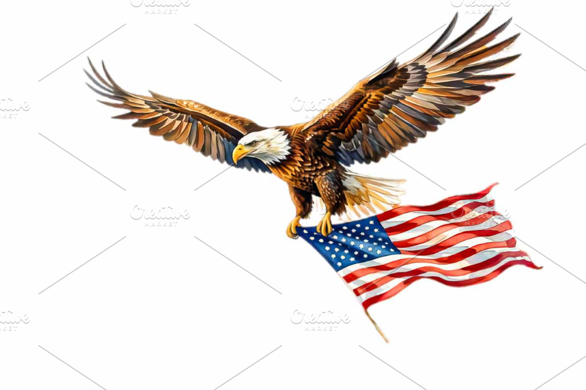 Flying Bald Eagle Watercolor PNG, an Animal Illustration by VetalStock (Photo 2 of 3)