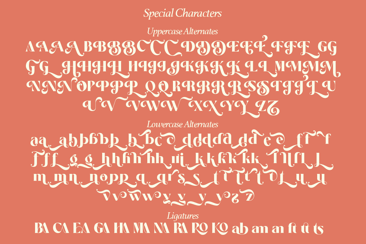 Salitia - 6 Font and Swash, a Serif Font by Dharmas Foundry (Photo 15 of 16)