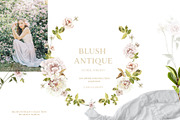 -20% Blush Antique Floral collection, an Illustration by Grace Noboa Illustrations (Thumbnail 2 of 8)