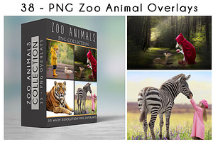 47 - PNG - ZOO ANIMALS