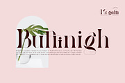 Megain Ligature Serif Typeface, a Serif Font by Humaira_std (Thumbnail 9 of 14)