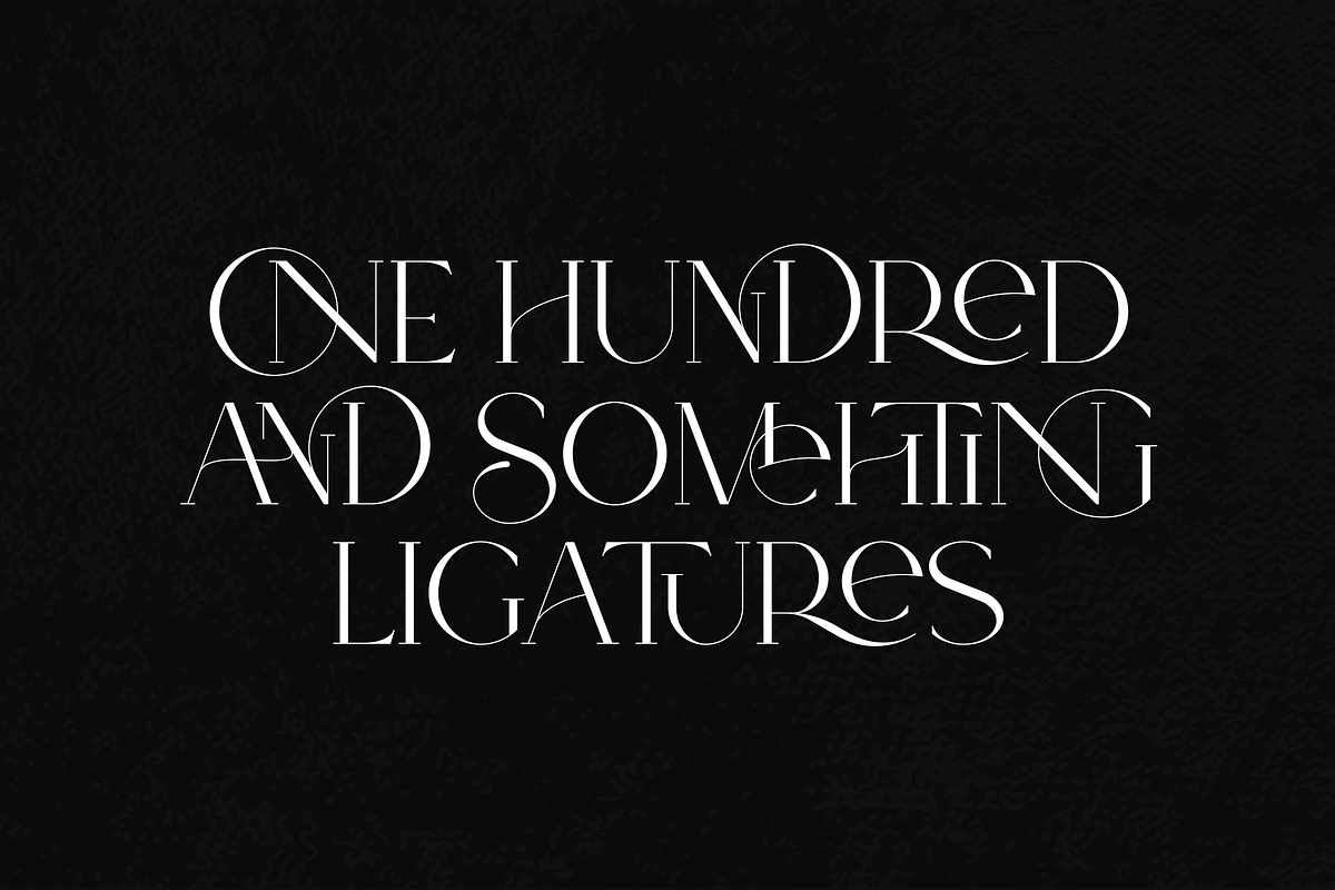 SALE! Type Maestro -  serif font, a Serif Font by VP Fonts (Photo 5 of 25)