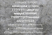 SAVAGE duo script font, a Script Font by Gennadi Digital Studio (Thumbnail 4 of 9)