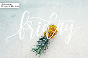 Adasmine Clean & Textured Script, a Script Font by Studio design (Thumbnail 20 of 22)
