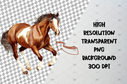 Watercolor Horse Clipart Set, 50 PNG, an Animal Illustration by CropUp Creative (Thumbnail 3 of 5)