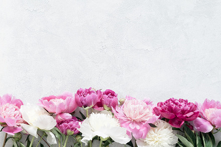 Floral background with peonies, an Arts & Entertainment Photo by The baking man
