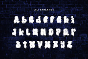 BubbleBloods - Graffiti Display Font, a Symbol Font by AQR Studio (Thumbnail 6 of 9)