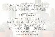 Cactus | Script Font, a Handwritten Font by Scratchones (Thumbnail 7 of 9)