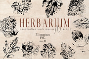 Hand-crafted Herbal Imptints, an Object Graphic by Dervik Art Store (Thumbnail 7 of 10)