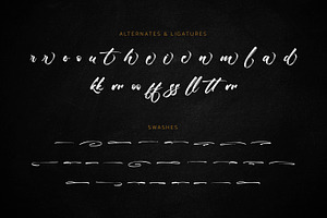 The Romantica - Handbrush Script