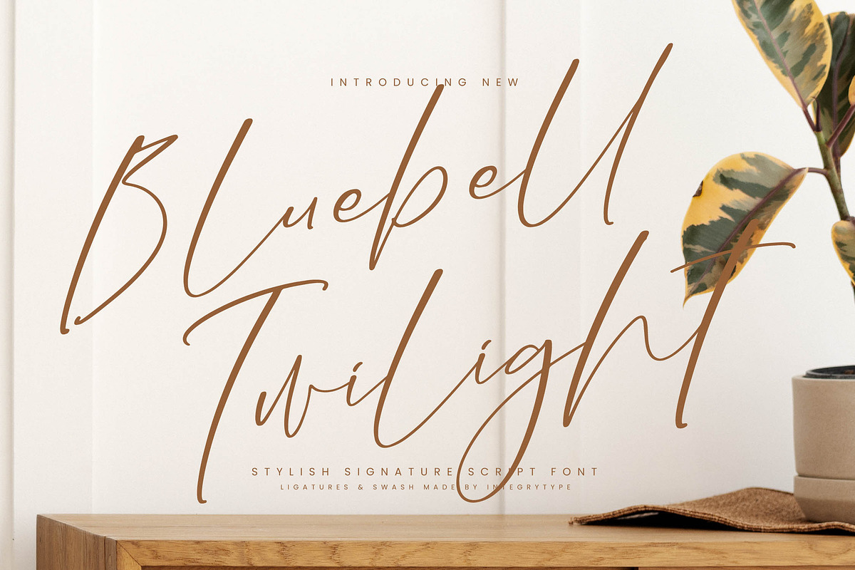Bluebell Twilight, a Script Font by Integritype Studio (Photo 1 of 15)