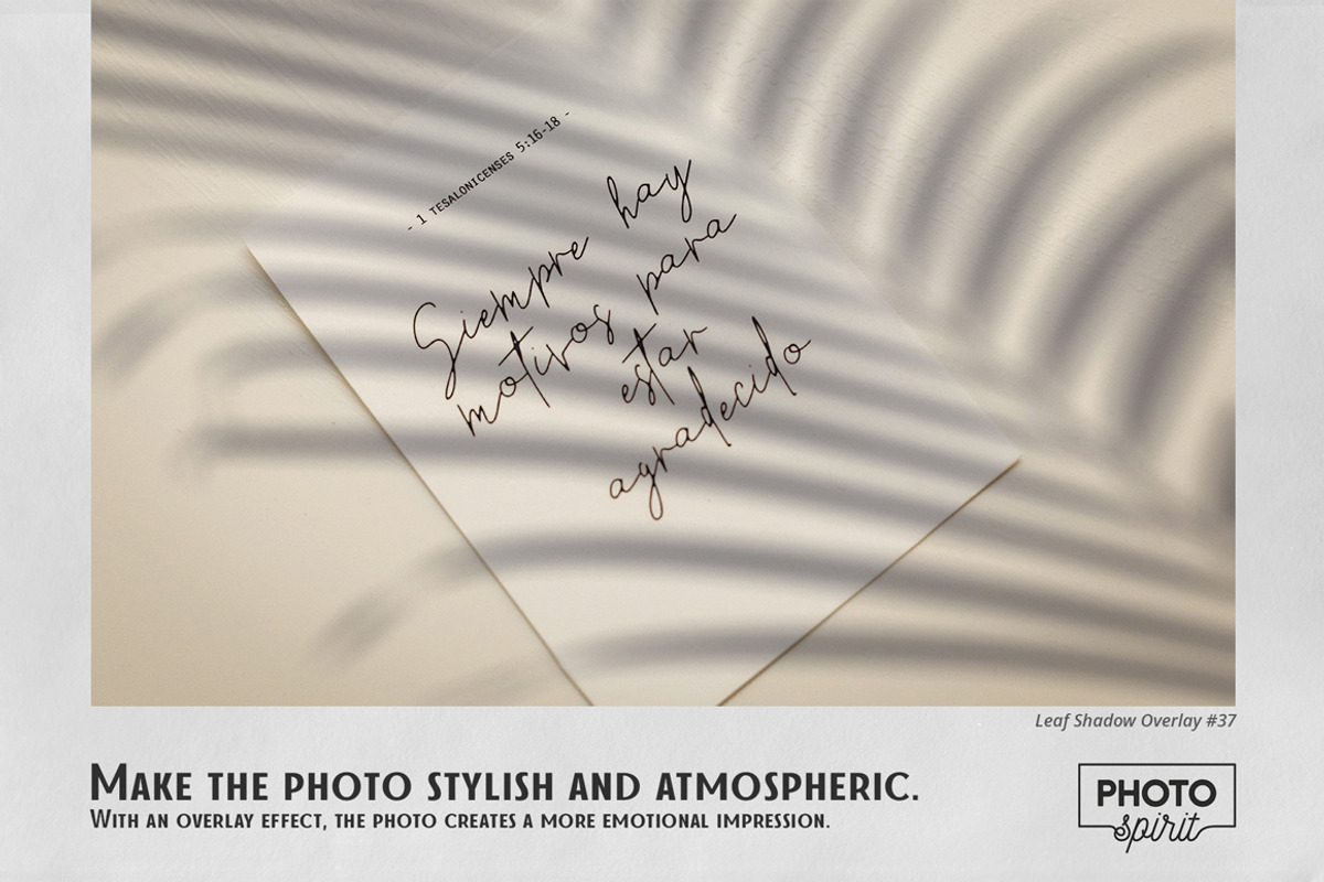 Leaf Shadow Overlays, an Action Add-On by PhotoSpirit (Photo 4 of 8)